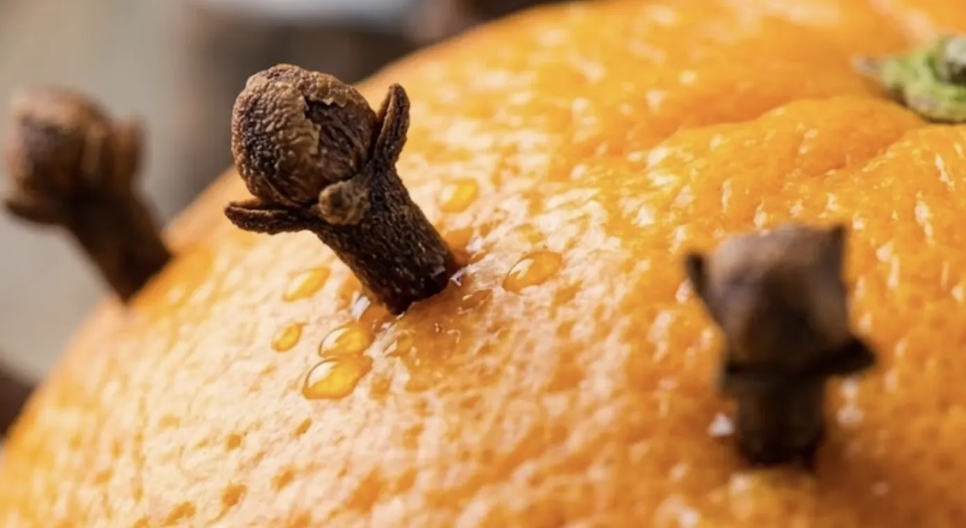 Cuișoare într-o coajă de citrice — un remediu tradițional de casă împotriva insectelor